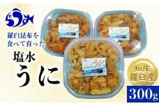 【先行予約/2026年1月より発送】天然 エゾバフンうに （中）塩水うに 300g （100g×3枚）ミョウバン不使用 北海道産 知床羅臼産