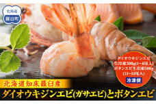 ダイオウキジンエビ(ガサエビ)とボタンエビのセット  えび エビ 海老 食べ比べ 魚介 魚介類 北海道 羅臼町 海産物 冷凍 刺身 フライ 生産者 支援 応援