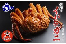 知床イバラがに 姿(大) いばらがに かに カニ 蟹  羅臼町 北海道産 海産物 生産者 支援 応援