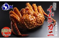 知床イバラがに 姿(超特大) いばらがに かに カニ 蟹  羅臼町 北海道産 海産物 生産者 支援 応援