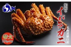 知床イバラがに 姿(特大) いばらがに かに カニ 蟹  羅臼町 北海道産 海産物 生産者 支援 応援