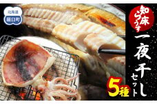 知床らうす 一夜干しセット 魚 北海道 海産物 魚介 魚介類 ほっけ ホッケ キンキ きんき めんめ いか 宗八カレイ 八角 干物 魚 肴 ご飯のお供 おかず 羅臼町 北海道 生産者 支援 応援