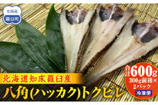 知床羅臼産 八角(ハッカク)トクビレ 300g前後×2パック 生産者 支援 応援