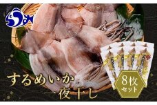 知床羅臼産するめいか一夜干し（1枚 250g 前後）8枚セット 生産者 支援 応援