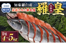 知床羅臼産 鮭 羅皇（らおう）4～5kg 生産者 支援 応援