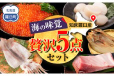 北海道知床羅臼産 海の味覚贅沢 5 種セット 開きほっけ イカ一夜干し 冷凍ほたて ブリ刺身柵 正油いくら 魚 海産物 魚介 魚介類 生産者 支援 応援