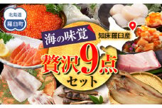 北海道知床羅臼産 海の味覚贅沢9点セット 生産者 支援 応援