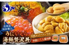 【先行予約/2026年1月より発送】知床羅臼産 うに・いくら贅沢海鮮丼セット（無添加エゾバフンうに（塩水うに）100g×1、秋鮭いくら醤油漬100g×1）