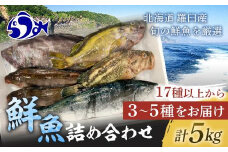 知床羅臼産 鮮魚詰め合わせA　約5kg 魚 さかな 旬の魚 鮮魚 羅臼町 北海道 生産者 支援 応援
