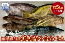 知床羅臼産 鮮魚詰め合わせA　約5kg 魚 さかな 旬の魚 鮮魚 羅臼町 北海道 生産者 支援 応援