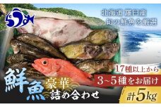 知床羅臼産 鮮魚詰め合わせB　約5kg 魚 さかな 旬の魚 鮮魚 羅臼町 北海道 生産者 支援 応援