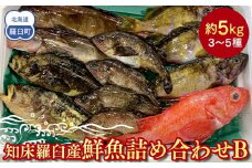 知床羅臼産 鮮魚詰め合わせB　約5kg 魚 さかな 旬の魚 鮮魚 羅臼町 北海道 生産者 支援 応援