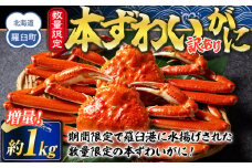 羅臼港本ずわいがに 数量限定 増量1kg ズワイガニ かに カニ 蟹 羅臼町 北海道 魚介 生産者 支援 応援
