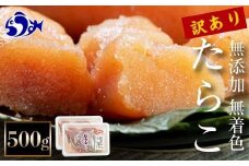 【2025年9月発送】訳あり無添加無着色多羅子（たらこ）500g（250g×2箱） 北海道 知床羅臼産  生産者 支援 応援