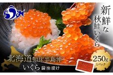 いくら醤油漬け 250g イクラ 魚卵 いくら丼 海鮮丼 ご飯のお供 羅臼町 北海道 生産者 支援 応援