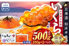 いくら醤油漬け 500g（250g×2パック） イクラ 魚卵 いくら丼 海鮮丼 ご飯のお供 羅臼町 北海道 生産者 支援 応援
