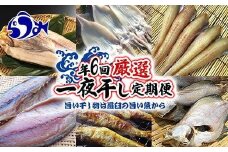 年6回　羅臼直送　旨い干し物は羅臼の旨い魚から　厳選一夜干し定期便 生産者 支援 応援