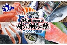年6回　羅臼直送　味に自慢の鮭（サーモン）こだわりの定期便 生産者 支援 応援