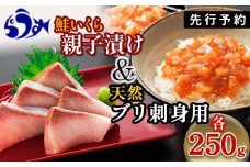 【2025年1月発送】親子漬け・ぶり刺身セット500g（各250g×1）小分け いくら イクラ 秋鮭 さけ サケ 醤油漬け しょうゆ漬け ブリ 鰤 北海道 国産 羅臼 海鮮 魚介 ご飯のお供 生産者 支援 応援