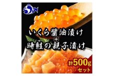【2025年4月発送】知床羅臼産 時鮭（ときしらず）の親子漬け・醤油いくらセット（計500g）イクラ しょうゆ漬け 秋サケ さけ 海鮮 魚介 北海道 詰め合わせ 生産者 支援 応援