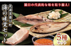 【2025年2月発送】知床羅臼産 海の味覚贅沢5種セット いくら ホタテ ほっけ イカ ブリ 干物 刺身 しょうゆ漬け 一夜干し 魚卵 海鮮 魚介 詰め合わせ 北海道 生産者 支援 応援