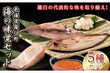 【2025年6月発送】知床羅臼産 海の味覚贅沢5種セット いくら ホタテ ほっけ イカ ブリ 干物 刺身 しょうゆ漬け 一夜干し 魚卵 海鮮 魚介 詰め合わせ 北海道 生産者 支援 応援
