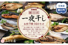 一夜干し お魚9種14点セット  ほっけ開き そい 鱈 秋鮭 さば いわし カレイ ハッカク ニシン 北海道 知床 羅臼町 生産者 支援 応援
