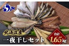 北海道産 一夜干し 合計1.65kg セットA 北海道 羅臼 鮮魚 魚 海鮮 八角 カレイ 鯖 一夜干し こまい 氷下魚 生産者 支援 応援