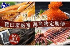 3か月連続定期便 羅臼産厳選 海産物 訳あり羅臼昆布付き定期便 こんぶ コンブ 出汁 ホッケ ほっけ 干物 魚 イカ いか おつまみ いくら イクラ 秋鮭 ご飯のお供 北海道 羅臼町