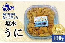 【先行予約/2026年1月より発送】天然 エゾバフンうに （中）塩水うに 100g （100g×1枚）ミョウバン不使用 北海道産 知床羅臼産