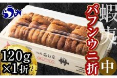 【先行予約/2026年1月より発送】エゾバフンウニ（中）折うに 120g×1枚