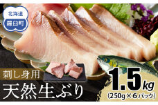 【2026年2月発送】北海道 知床羅臼産 天然ぶり刺身 1.5kg (250g×6パック) 魚 海産物 魚介 魚介類 ブリ 鰤 刺身 ご飯のお供 冷凍 生産者 支援 応援