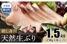 【2025年12月発送】北海道 知床羅臼産 天然ぶり刺身 1.5kg (250g×6パック) 魚 海産物 魚介 魚介類 ブリ 鰤 刺身 ご飯のお供 冷凍 生産者 支援 応援