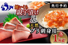 【2025年2月発送】親子漬け・ぶり刺身セット2kg（各250g×4）小分け いくら イクラ 秋鮭 さけ サケ 醤油漬け しょうゆ漬け ブリ 鰤 北海道 国産 羅臼 海鮮 魚介 ご飯のお供 生産者 支援 応援