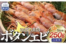 知床羅臼ボタンエビ(中) 250g 生産者 支援 応援