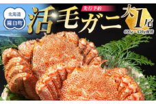 【先行予約】活毛ガニ　大１尾（600g～650g前後）