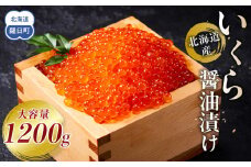【10月発送】北海道産 いくら（鮭卵）醤油漬け 大容量400g×3個(200g×6パック)国産 小分けパック イクラ 海鮮丼 ギフト 贈り物 魚介類 魚介 海産物 鮭 シャケ しゃけ 生産者 支援 応援