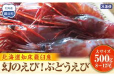 幻のぶどうえび（大・500g /8～12尾前後） エビ 海老 ブドウエビ 羅臼町 北海道 魚介類 魚介 海産物 冷凍 刺身 生産者 支援 応援