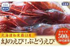 幻のぶどうえび（小・500g /20尾前後） エビ 海老 刺身 海鮮 羅臼町 北海道 海産物 魚介 魚介類 生産者 支援 応援