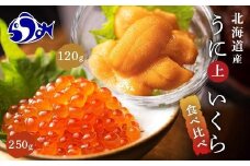 【先行/2026年1月より発送】知床羅臼町産うにといくらの食べ比べセット（うに【上】120g・いくら250g） 生産者 支援 応援