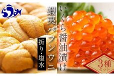 【先行/2026年1月より発送】知床羅臼町産　塩水うに（１００g×１）と折うに（１２０g×１）と北海道産いくら醤油漬け（２５０g）のセット 北海道産 知床羅臼産