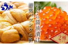 【先行/2026年1月より発送】知床羅臼町産折うに（１２０ｇ）と北海道産いくら醤油漬け（２５０g）セット 北海道産 知床羅臼産