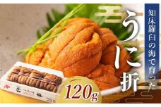 【先行/2026年1月より発送】知床羅臼町産 折ウニ 中 120g×1 北海道知床羅臼産 天然 エゾバフンうに 雲丹 おかず ご飯のお供