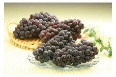 青森県産　スチューベン（生）2㎏【数量限定品】 