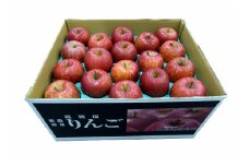 （先行受付品：令和7年12月以降発送）青森県産りんご10㎏（サンふじ）