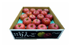 （先行受付品：令和7年12月以降発送）青森県産りんご5㎏（サンふじ）