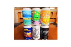 クラフトビール　限定6種類　6本セット【1653333】