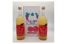 りんごジュース(720ml)2本セット【1653621】