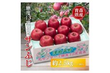 りんご/青森県産　糖度13度選果 サンふじ 約2.5kg【1655310】