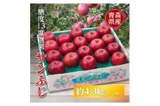 りんご/青森県産　糖度13度選果 サンふじ 約4.3kg【1655307】